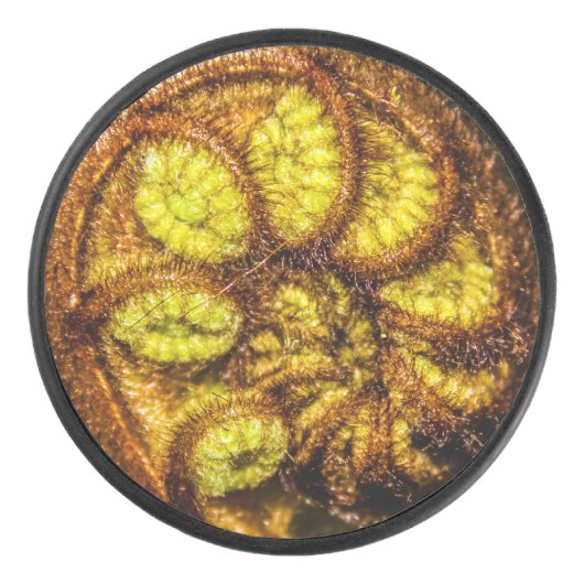 Young Fern Leaves Hockey Puck (Voorkant)