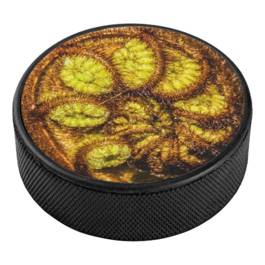 Young Fern Leaves Hockey Puck (3/4)