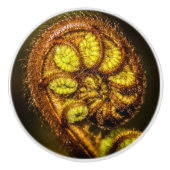 Young Fern Leaves Keramische Knop (Voorkant)