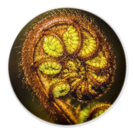 Young Fern Leaves Keramische Knop (Voorkant)