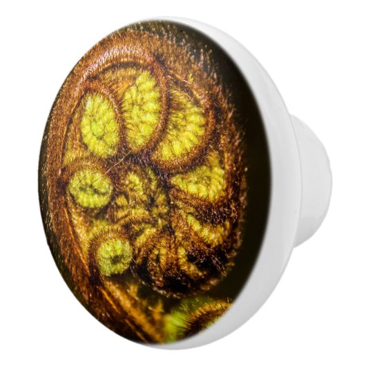 Young Fern Leaves Keramische Knop (Rechts)