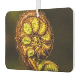 Young Fern Leaves Luchtverfrisser