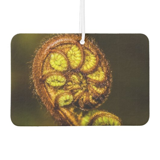 Young Fern Leaves Luchtverfrisser (Voorkant)