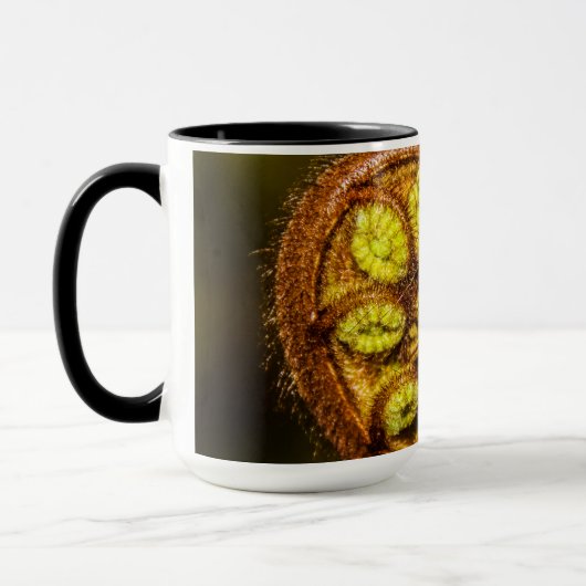 Young Fern Leaves Mok (Links)