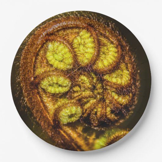 Young Fern Leaves Papieren Bordje (Voorkant)