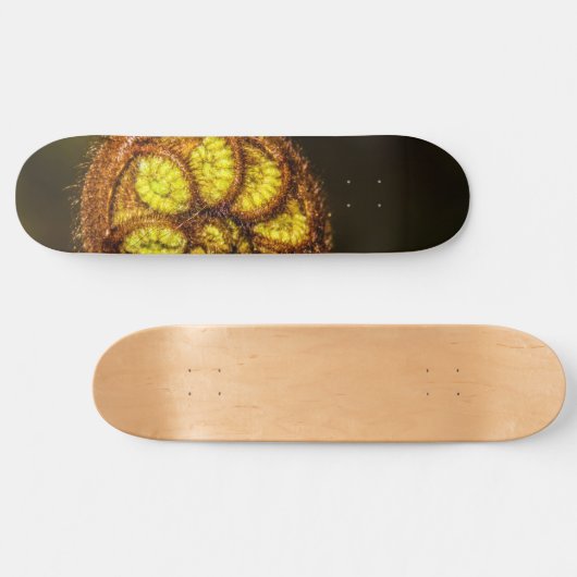 Young Fern Leaves Persoonlijk Skateboard (Horizontaal)