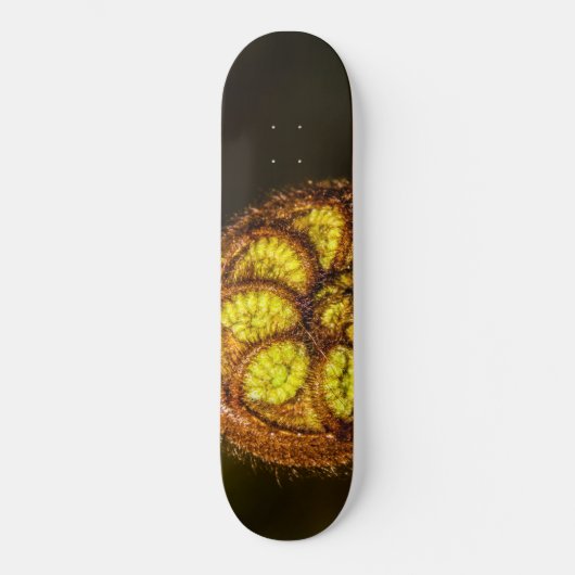 Young Fern Leaves Persoonlijk Skateboard (Voorkant)