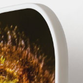 Young Fern Leaves Pickleball Paddle (Links Detail)