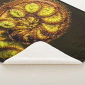 Young Fern Leaves Sherpa Deken (3/4)