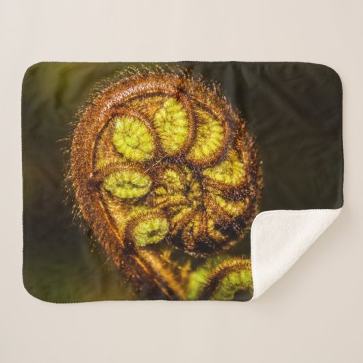 Young Fern Leaves Sherpa Deken (Voorkant (horizontaal))