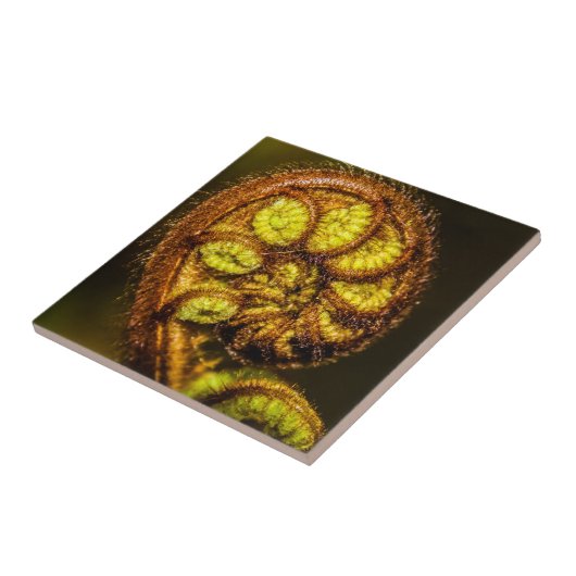 Young Fern Leaves Tegeltje (Zijkant)