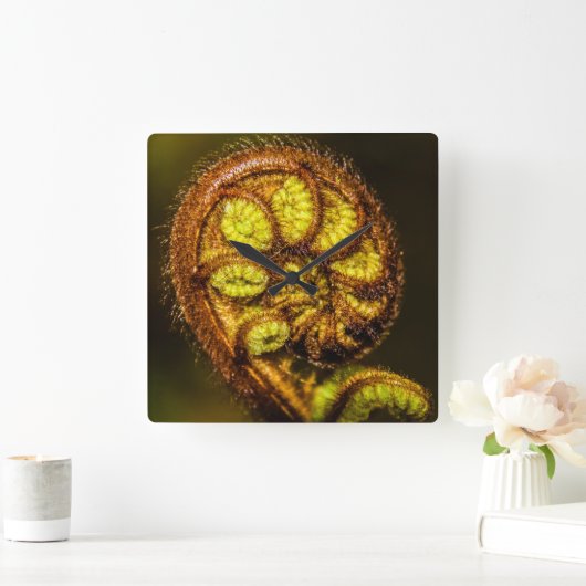 Young Fern Leaves Vierkante Klok (Huis)