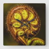 Young Fern Leaves Vierkante Klok (Voorkant)