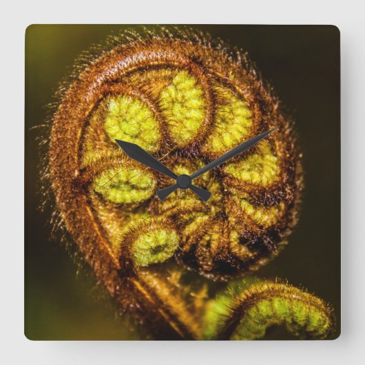 Young Fern Leaves Vierkante Klok (Voorkant)