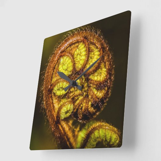 Young Fern Leaves Vierkante Klok (Hoek)