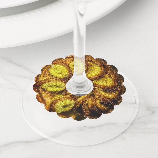 Young Fern Leaves Wijnglaslabel (Dichtbij)