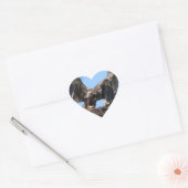 Young Florida Bald Eagle Stickers (Envelop)