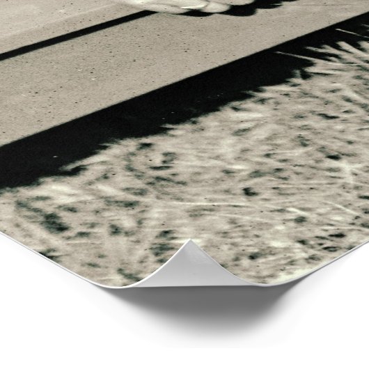 Young Football Fans 1920 Poster (Hoek)