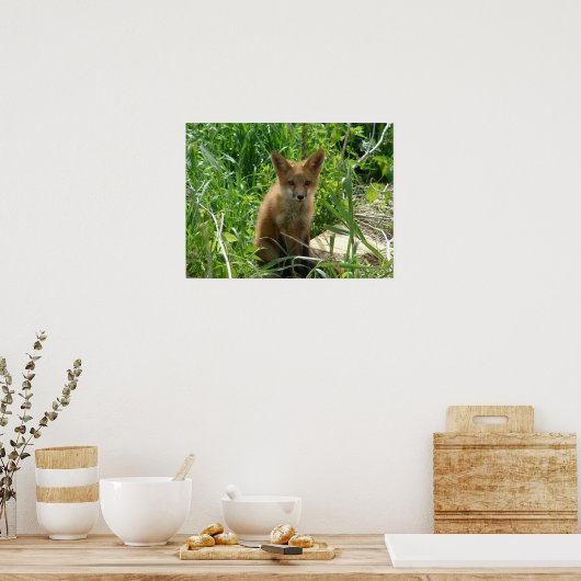 Young Fox Poster (Keuken)