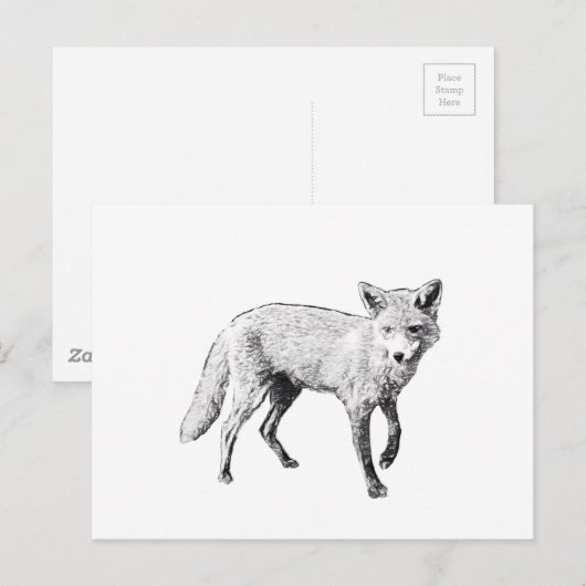 Young Fox Sketch Briefkaart (Voorkant / Achterkant)
