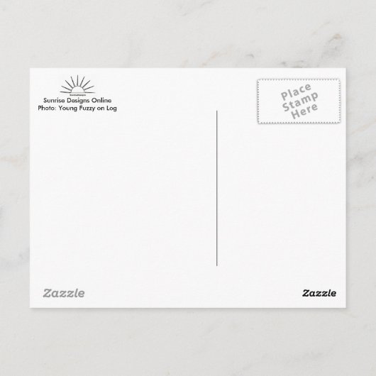 Young Fuzzy on Log Briefkaart (Achterkant)