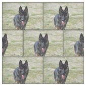 Young German Shepherd Stof (Swatch)