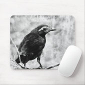 Young Grackle Muismat (Met muis)
