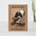 "YOUNG GRANDDAUGHTER" HAPPY BIRTHDAY-KAART KAART<br><div class="desc">VERTEL UW ***GRANDDAUGHTER *** "MET DEZE KAART" DAT U HAAR EEN "ZEER HOOGSTE GROTE DAG" WENST EN U **LIEFT VAN** HAAR. BEDANKT VOOR EEN VAN MIJN ACHT STORES.</div>