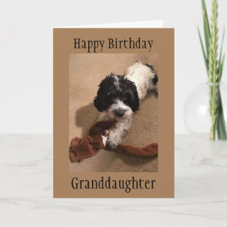 "YOUNG GRANDDAUGHTER" HAPPY BIRTHDAY-KAART KAART