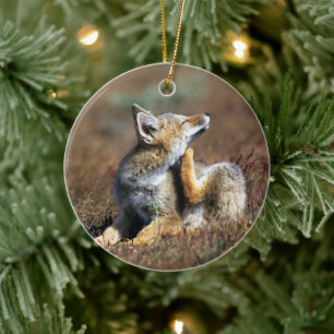 Young Gray Fox at Torres Del Paine National Park Keramisch Ornament