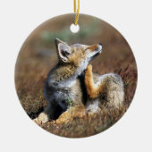 Young Gray Fox at Torres Del Paine National Park Keramisch Ornament (Voorkant)
