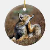 Young Gray Fox at Torres Del Paine National Park Keramisch Ornament (Achterkant)