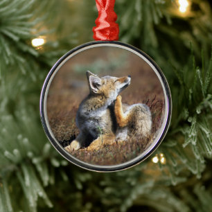 Young Gray Fox at Torres Del Paine National Park Metalen Ornament