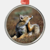 Young Gray Fox at Torres Del Paine National Park Metalen Ornament (Voorkant)