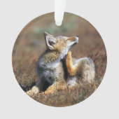Young Gray Fox at Torres Del Paine National Park Ornament (voorkant)
