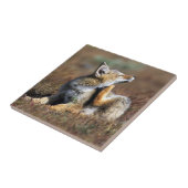 Young Gray Fox at Torres Del Paine National Park Tegeltje (Zijkant)