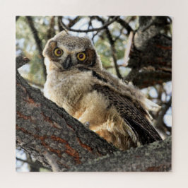 Young Great Horned Owl Jigzaag Puzzle Legpuzzel