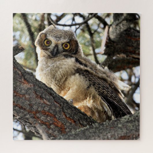 Young Great Horned Owl Jigzaag Puzzle Legpuzzel (Horizontaal)