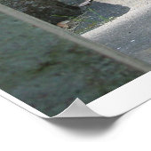 Young Great Horned Owl Poster (Hoek)