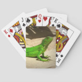 Young Green Iguana op Rock Path Pokerkaarten (Achterkant)