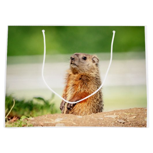 Young Groundhog Groot Cadeauzakje (Voorkant)