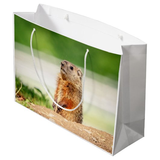 Young Groundhog Groot Cadeauzakje (Achterkant Gekanteld)