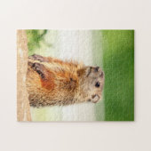 Young Groundhog Legpuzzel (Horizontaal)