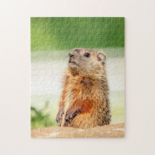 Young Groundhog Legpuzzel (Verticaal)