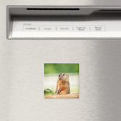 Young Groundhog Magneet (Insitu (Vaatwasser))