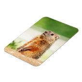 Young Groundhog Magneet (Linkerzijde)