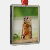 Young Groundhog Metalen Ornament (Rechts)