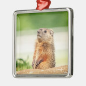 Young Groundhog Metalen Ornament (Links)