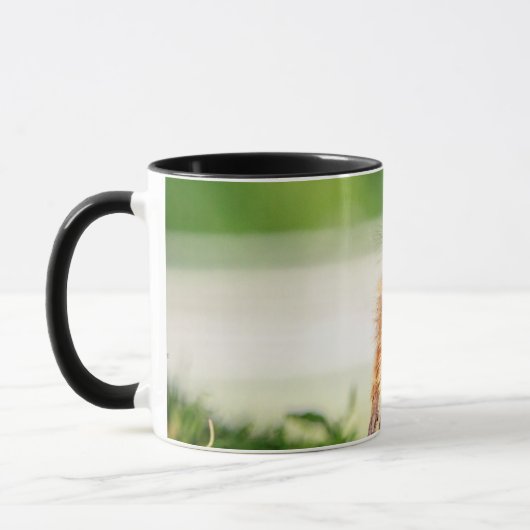 Young Groundhog Mok (Links)