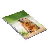 Young Groundhog Notitieboek (Rechterzijde)